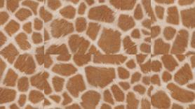 ПВХ плитка Tarkett Lounge DIJI EDITION Benny